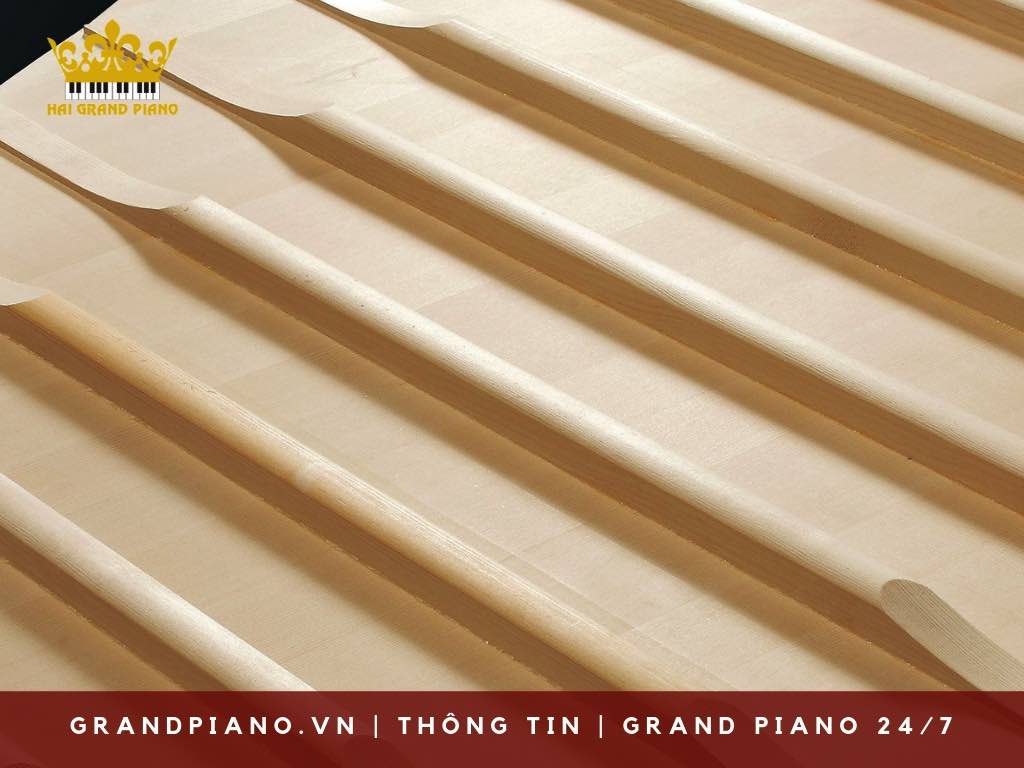 cau-tao-grand-piano-hien-dai_002