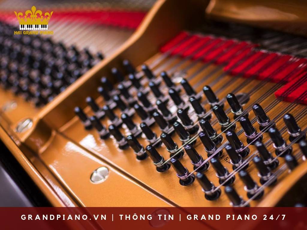 cau-tao-grand-piano-hien-dai_005