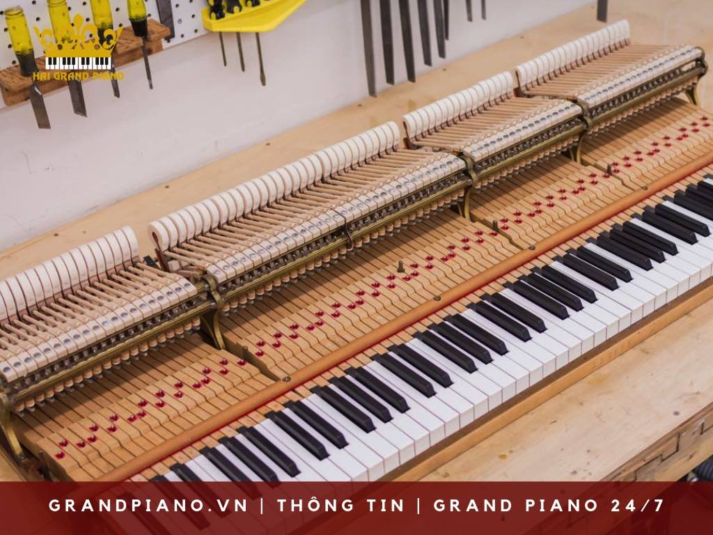 cau-tao-grand-piano-hien-dai_009
