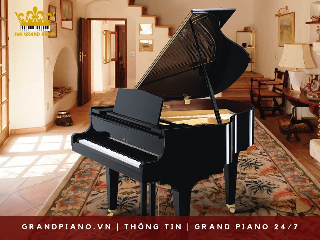 su-dung-bao-quan-grand-piano_003