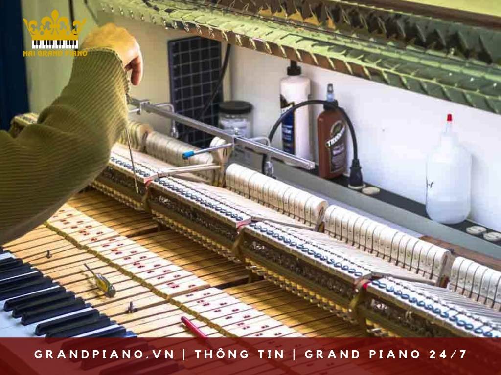 su-dung-bao-quan-grand-piano_006