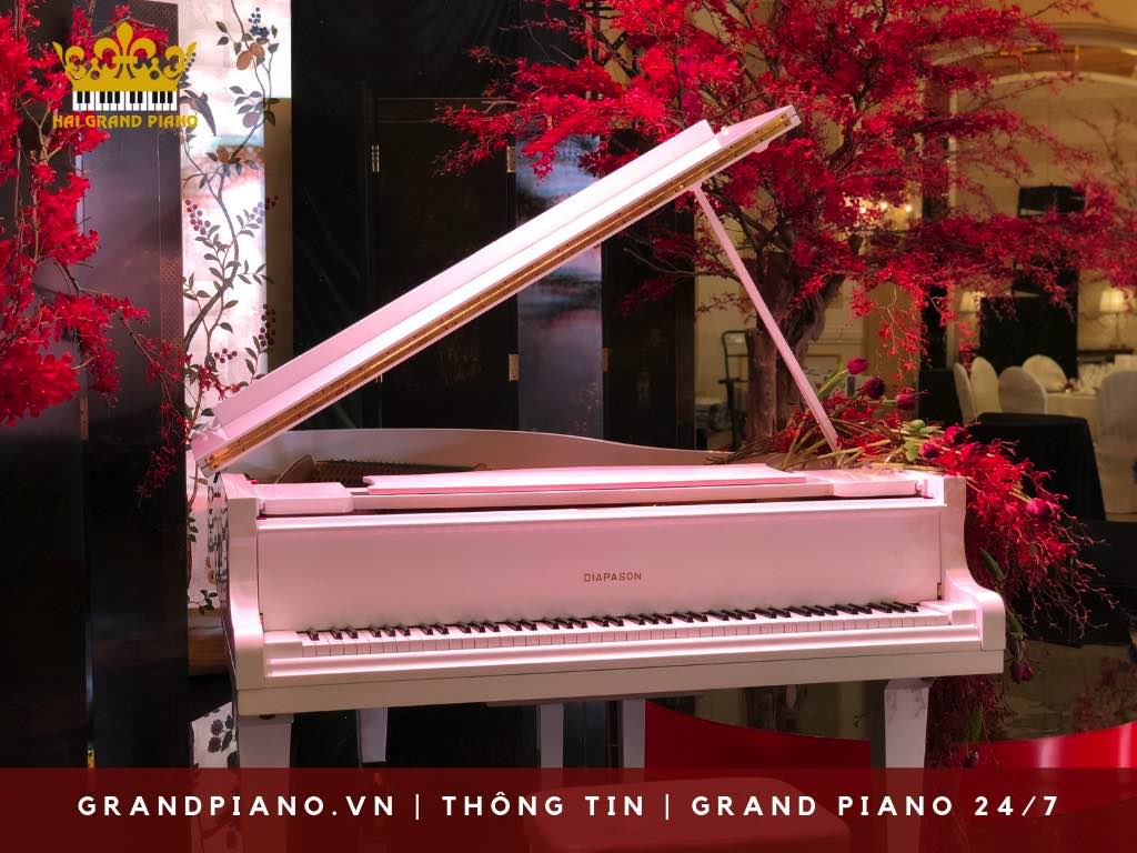 grand-piano-diapason