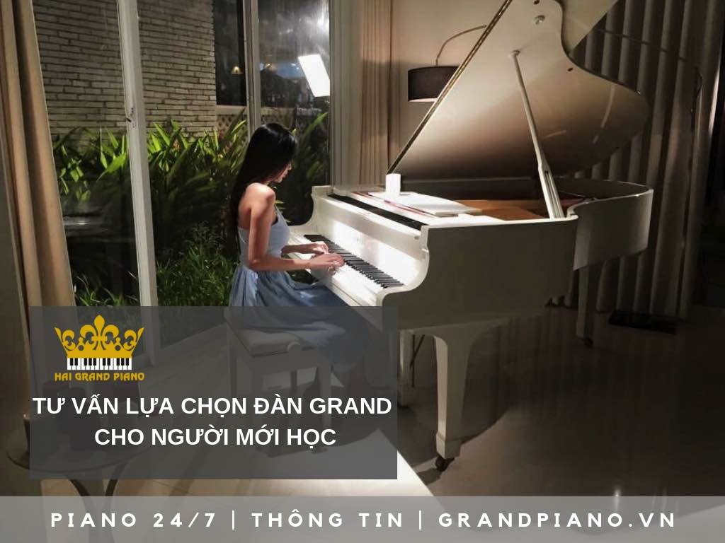 tu-van-chon-grand-piano-hoc-tap