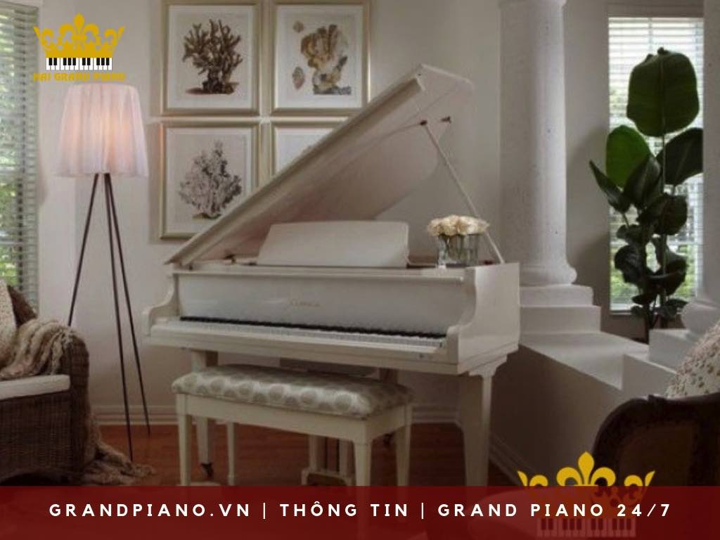khong-gian--de-dan-grand-piano_013