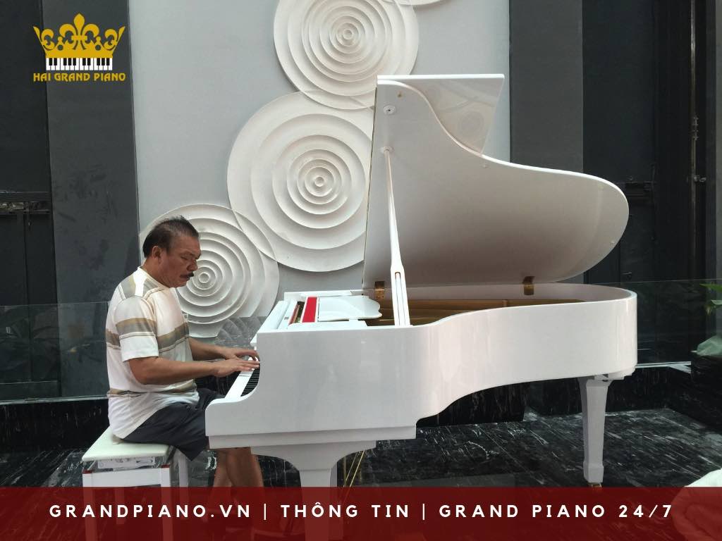 KHONG-GIAN-GRAND-PIANO-KHACH-SAN