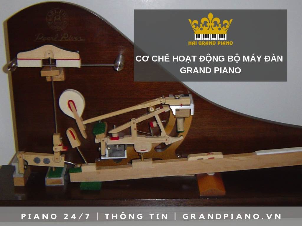 may-dan-grand-piano
