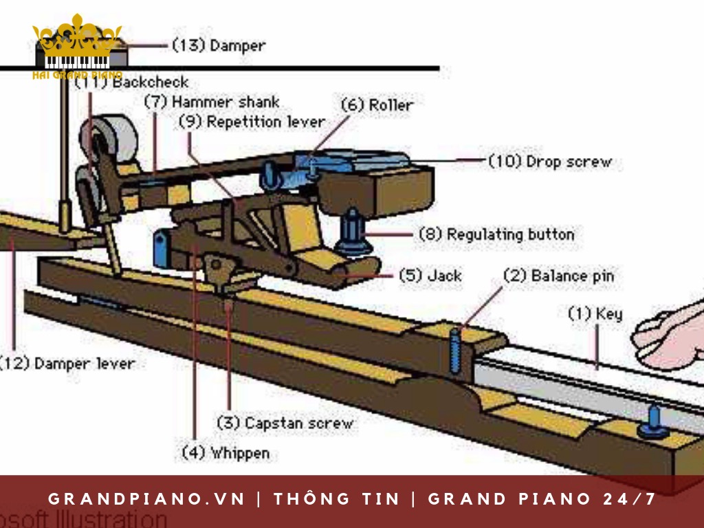 may-dan-grand-piano_001