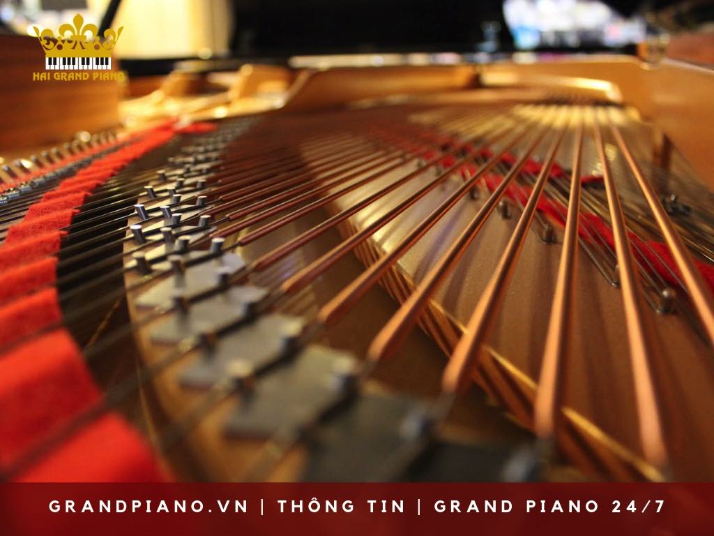 day-grand-piano-strings