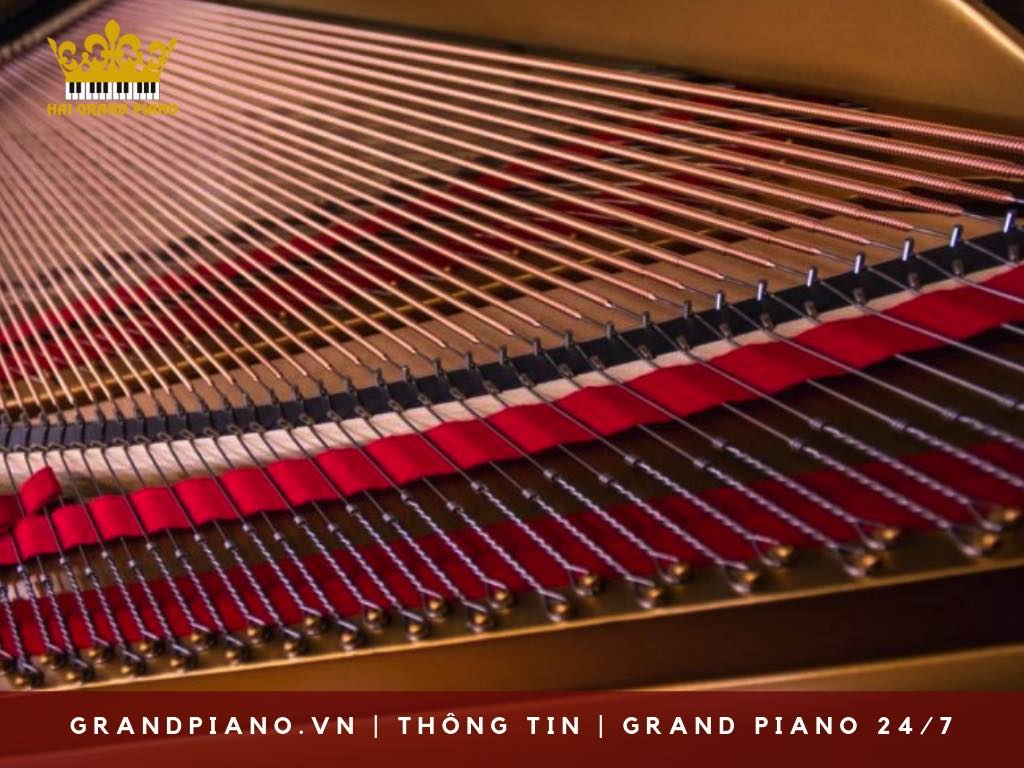 day-grand-piano-strings_001