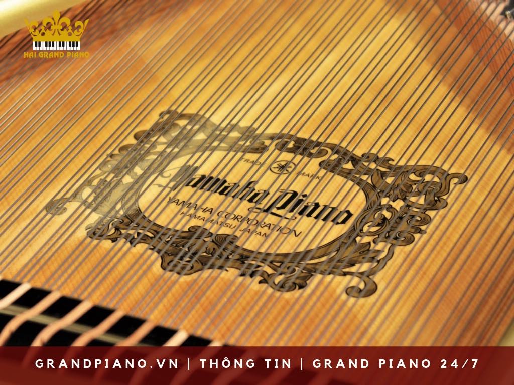 day-grand-piano-strings_002