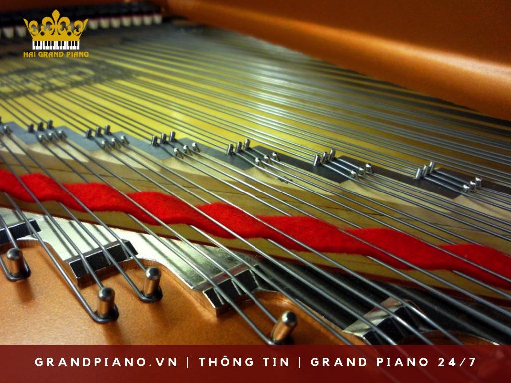 day-grand-piano-strings_003