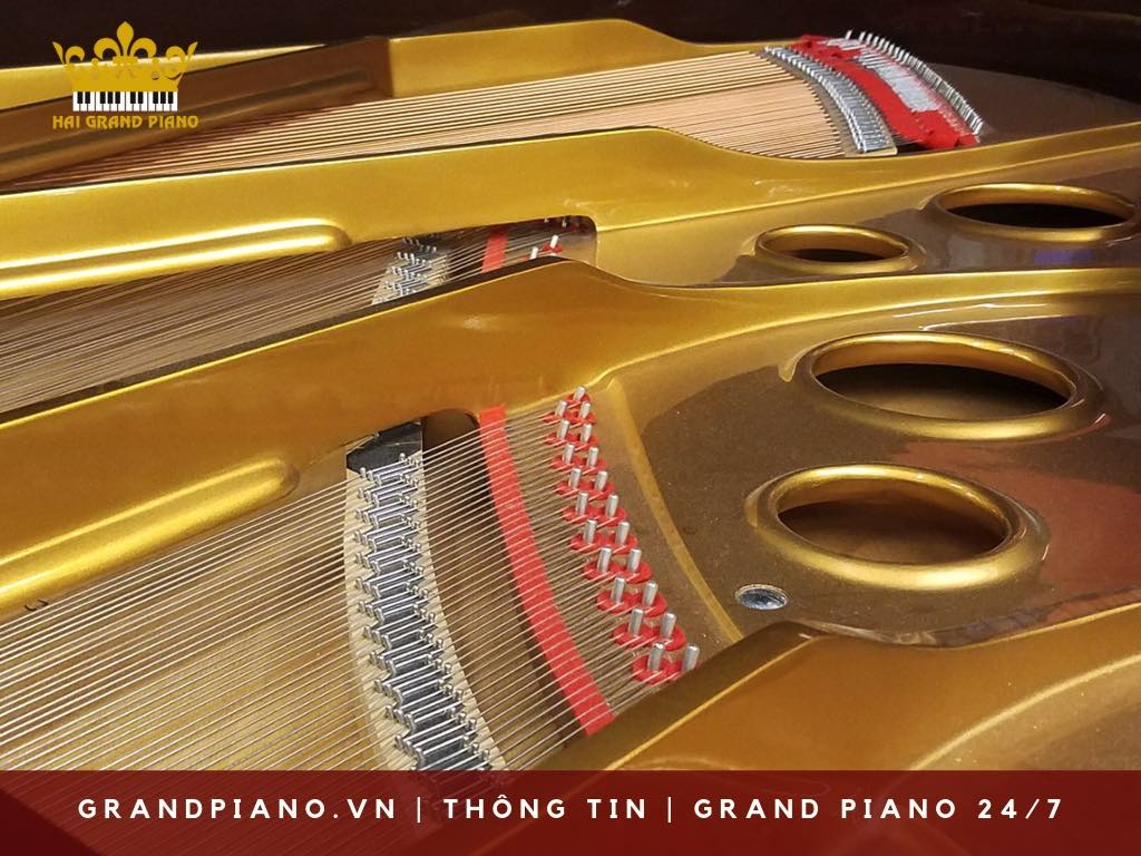day-grand-piano-strings_004