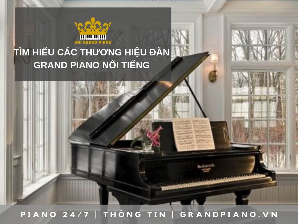 NHỮNG CÂY ĐÀN GRAND PIANO NỔI TIẾNG ĐƯỢC NGHỆ SĨ YÊU THÍCH 