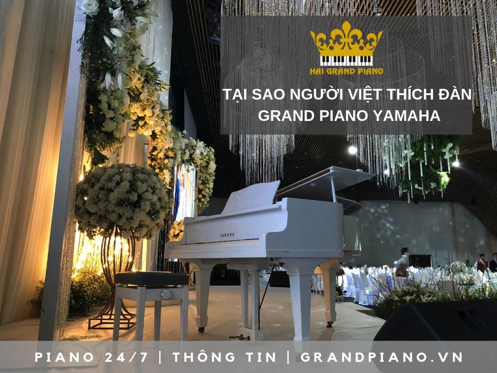 grand-piano-yamaha-yeu-thich