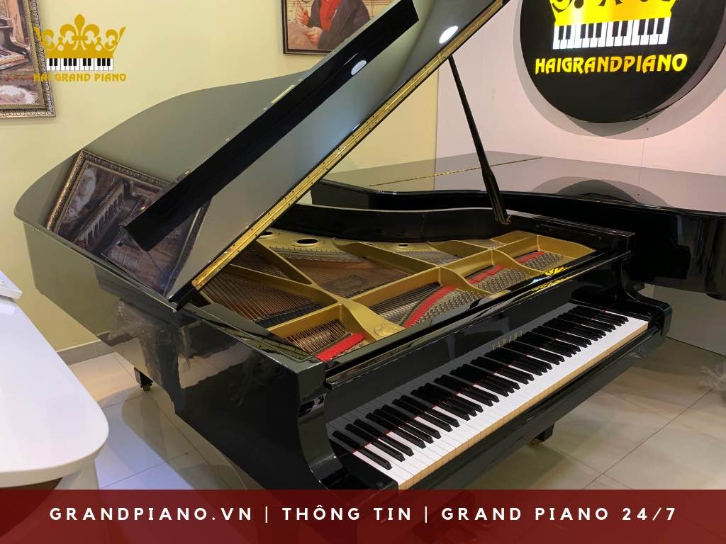vi-sao-chon-grand-yamaha-piano_001