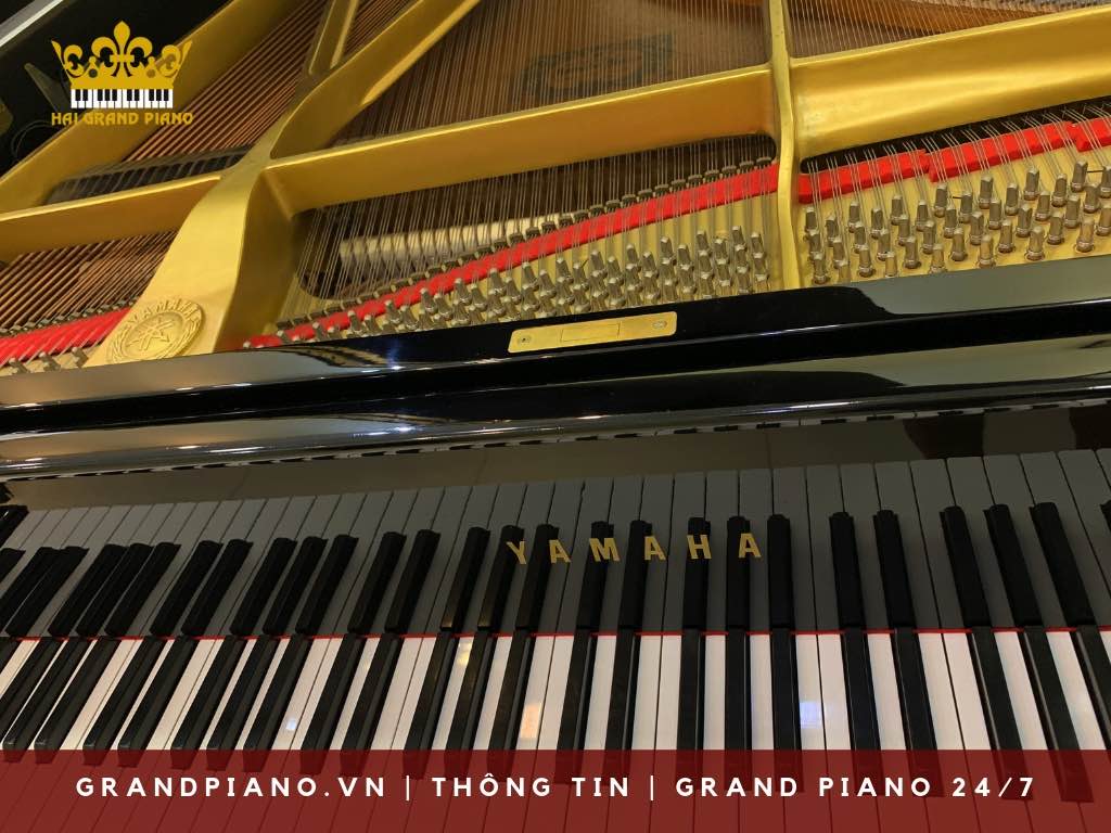 vi-sao-chon-grand-yamaha-piano_002