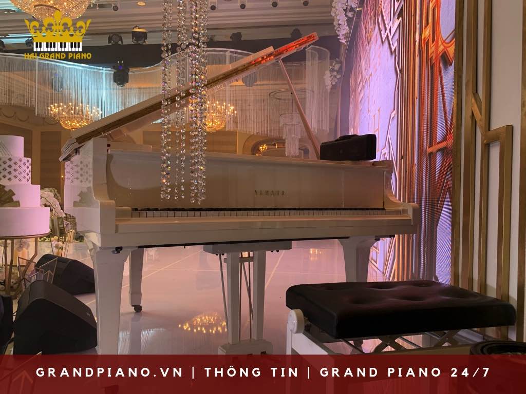 vi-sao-chon-grand-yamaha-piano_004
