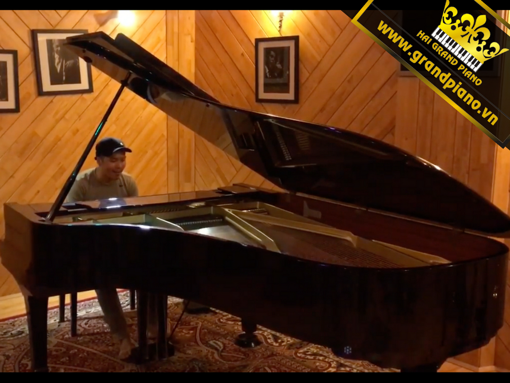 Hoa Dại | Grand Piano Yamaha C7 | Trần Mạnh Studio
